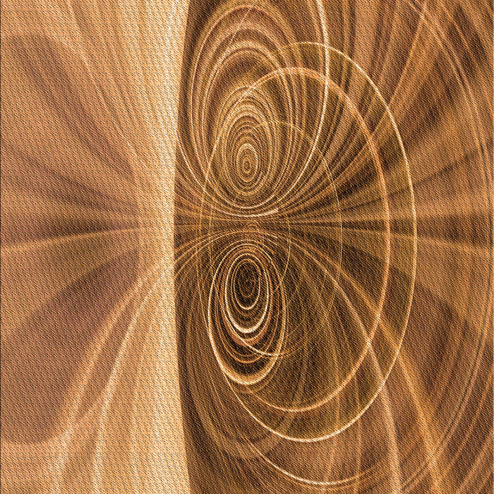 Machine Washable Transitional Orange Rug, wshpat384org