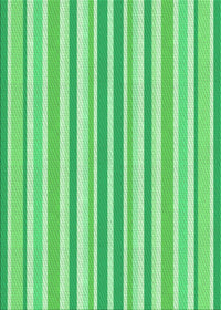 Machine Washable Transitional Green Rug, wshpat3840grn
