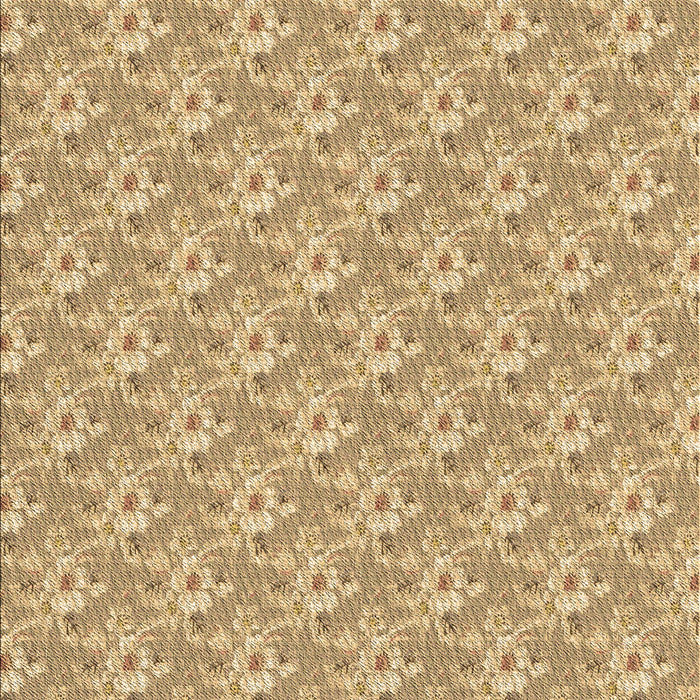 Machine Washable Transitional Cinnamon Brown Rug, wshpat3846brn