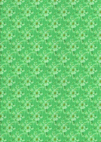 Machine Washable Transitional Neon Green Rug, wshpat3846grn