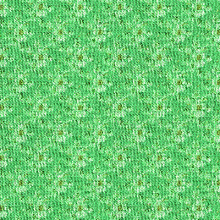 Machine Washable Transitional Neon Green Rug, wshpat3846grn