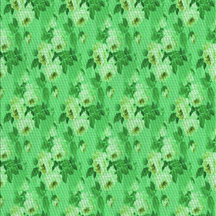 Machine Washable Transitional Neon Green Rug, wshpat3849grn