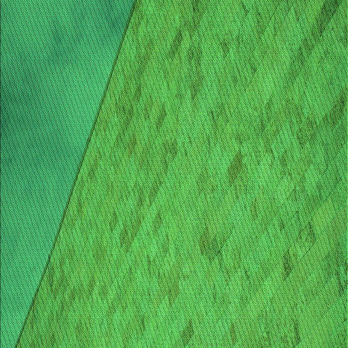 Machine Washable Transitional Neon Green Rug, wshpat3853grn