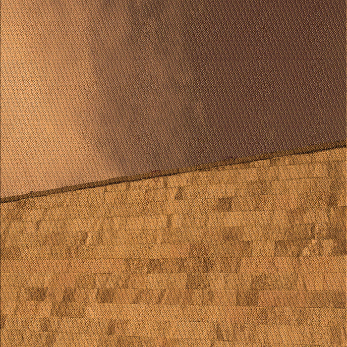 Machine Washable Transitional Saddle Brown Rug, wshpat3854org