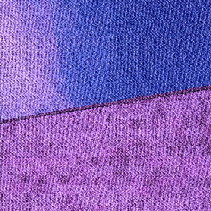 Machine Washable Transitional ly Purple Rug, wshpat3854pur