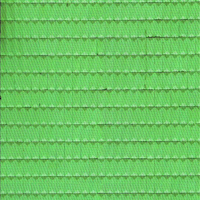 Machine Washable Transitional Neon Green Rug, wshpat3855grn