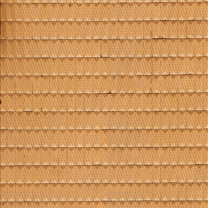 Machine Washable Transitional Neon Orange Rug, wshpat3855org