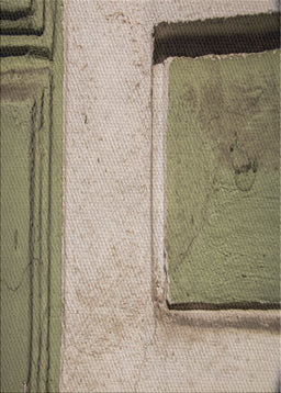 Patterned Antique Bronze Green Novelty Rug, pat3856