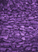 Machine Washable Transitional Purple Rug, wshpat3857pur