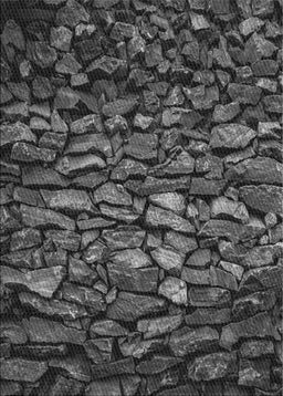 Patterned Gray Novelty Rug, pat3857