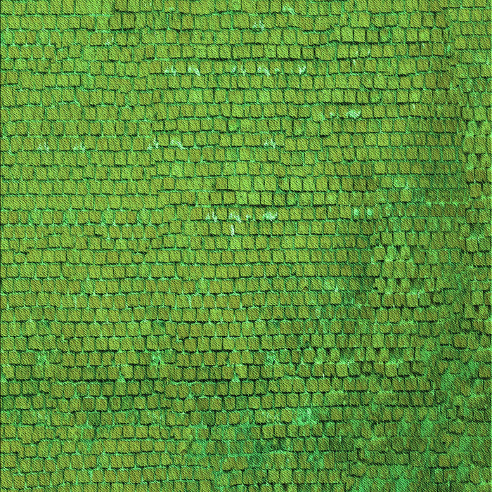 Patterned Green Rug, pat3858grn