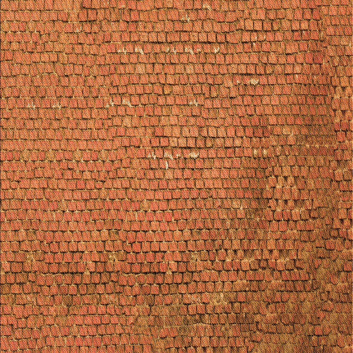 Patterned Neon Orange Rug, pat3858org