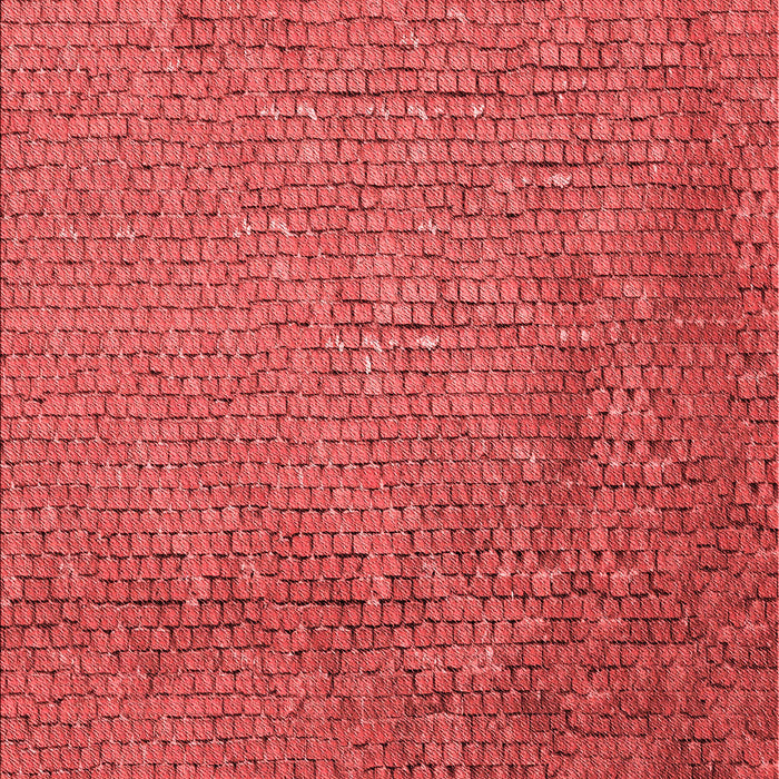 Patterned Red Rug, pat3858rd