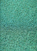 Machine Washable Transitional Turquoise Green Rug, wshpat3860lblu