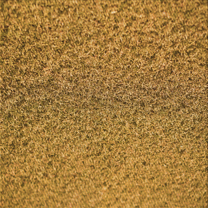 Round Machine Washable Transitional Dark Bisque Brown Rug, wshpat3860org