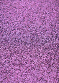 Machine Washable Transitional Purple Rug, wshpat3860pur