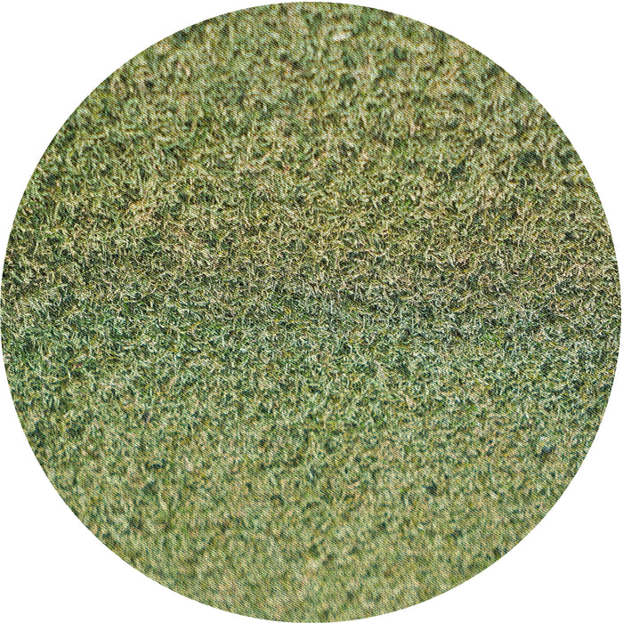 Sideview of Patterned Avocado Green Novelty Rug, pat3860