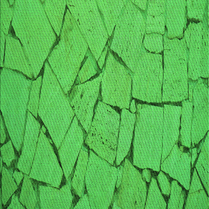 Machine Washable Transitional Lime Green Rug, wshpat3861grn