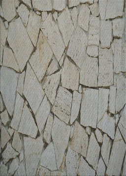 Machine Washable Transitional Gray Rug, wshpat3861