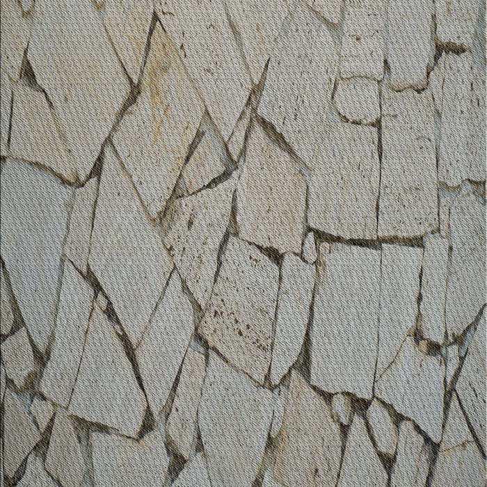 Machine Washable Transitional Gray Rug, wshpat3861