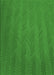 Patterned Green Rug, pat3862grn