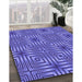 Machine Washable Transitional Purple Mimosa Purple Rug in a Family Room, wshpat3867pur