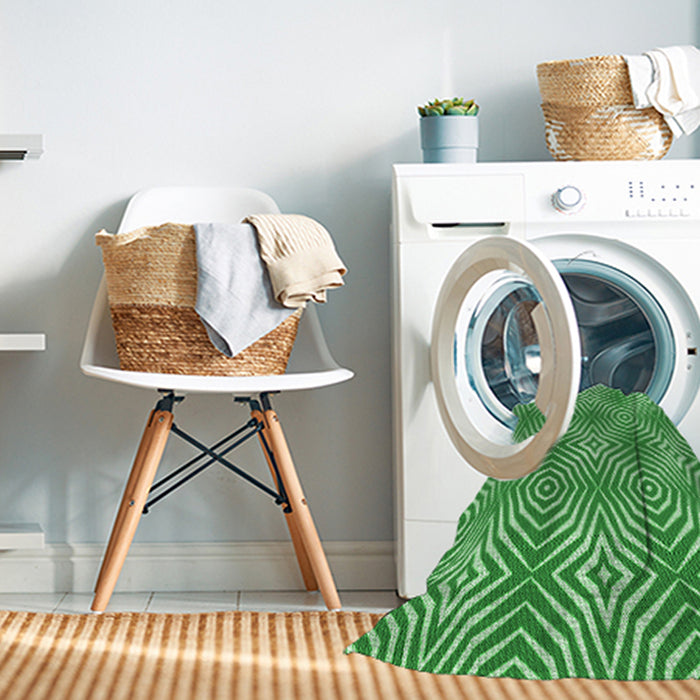 Machine Washable Transitional Green Rug in a Washing Machine, wshpat3869grn