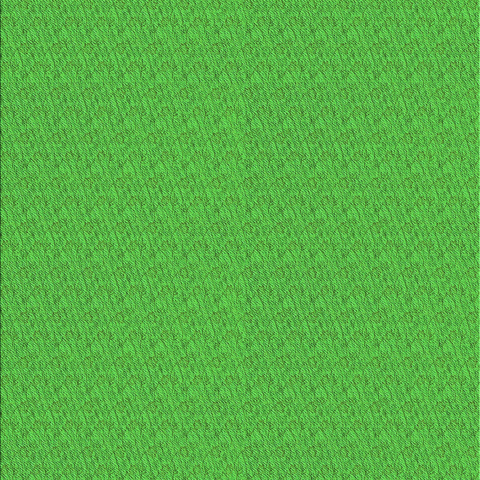 Machine Washable Transitional Lime Green Rug, wshpat3871grn