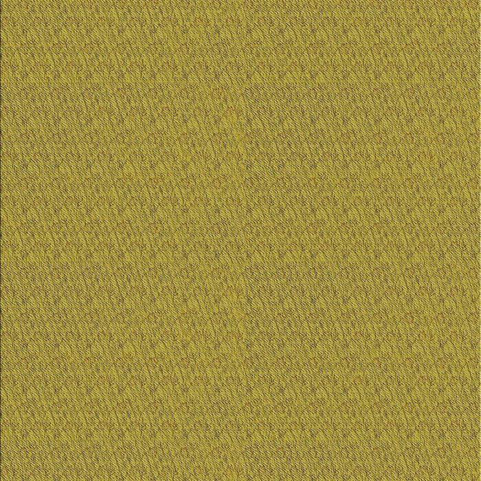 Patterned Dark Yellow Green Novelty Rug, pat3871