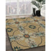 Machine Washable Transitional Red Brown Rug in a Family Room, wshpat3874