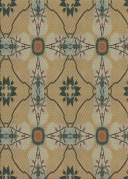 Machine Washable Transitional Red Brown Rug, wshpat3874