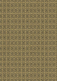 Machine Washable Transitional Oak Brown Rug, wshpat3875brn