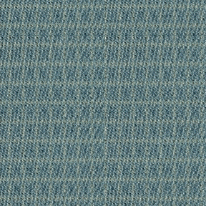 Patterned Blue Novelty Rug, pat3875