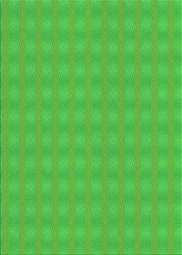 Machine Washable Transitional Lime Green Rug, wshpat3876grn