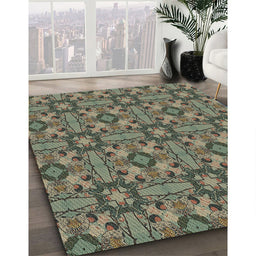 Patterned Mocha Brown Novelty Rug in Family Room, pat3877