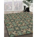 Patterned Mocha Brown Novelty Rug in Family Room, pat3877