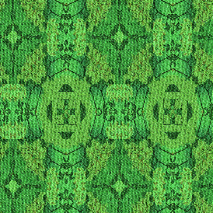 Machine Washable Transitional Green Rug, wshpat3879grn