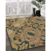 Machine Washable Transitional Metallic Gold Rug in a Family Room, wshpat3880