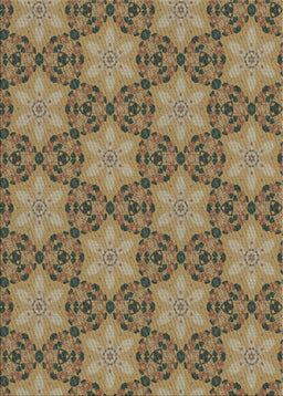 Patterned Brownish Green Novelty Rug, pat3882