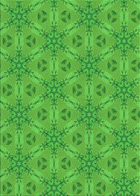 Machine Washable Transitional Lime Green Rug, wshpat3884grn