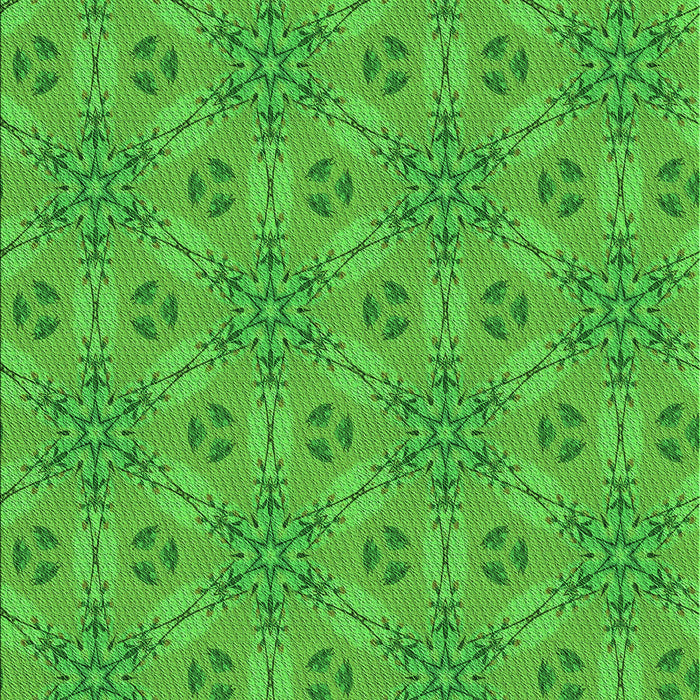 Machine Washable Transitional Lime Green Rug, wshpat3884grn