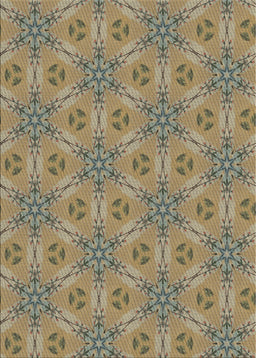 Machine Washable Transitional Red Brown Rug, wshpat3884