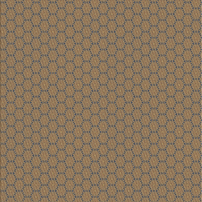 Machine Washable Transitional Light Copper Gold Rug, wshpat3889