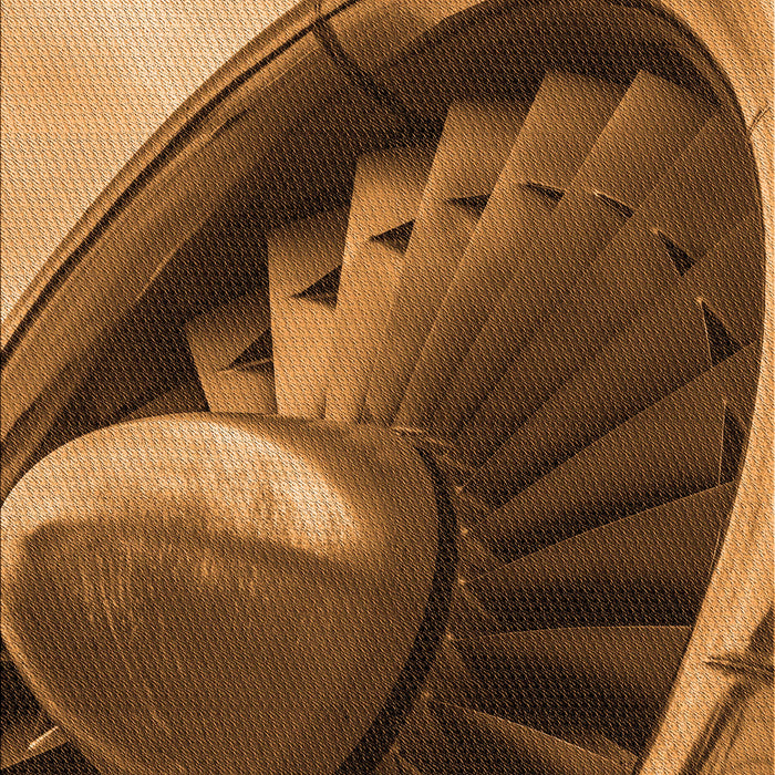 Machine Washable Transitional Orange Rug, wshpat389org