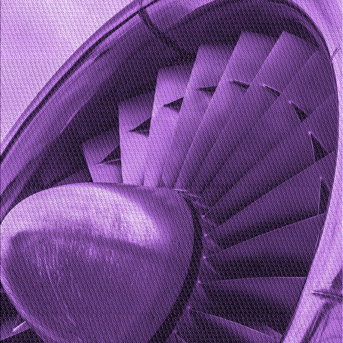 Machine Washable Transitional Purple Rug, wshpat389pur