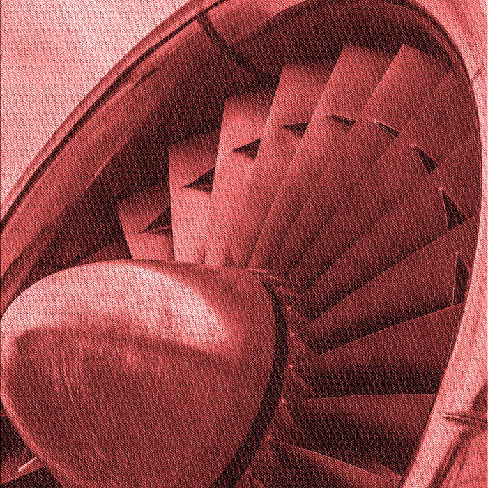 Machine Washable Transitional Cranberry Red Rug, wshpat389rd