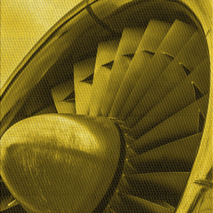 Machine Washable Transitional Orange Gold Rug, wshpat389yw