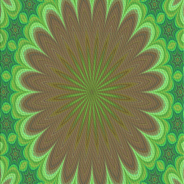 Machine Washable Transitional Oak Brown Rug, wshpat3894grn