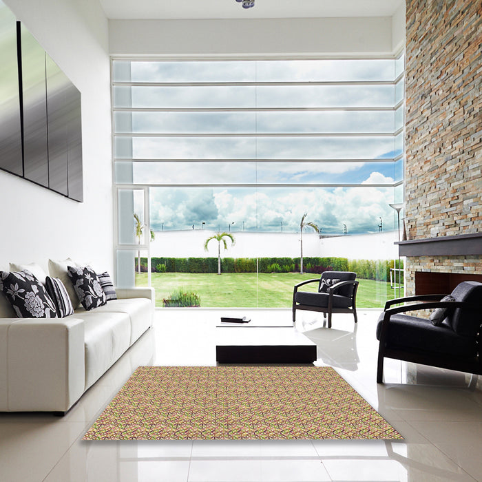 Square Patterned Chestnut Red Rug in a Living Room, pat3898brn