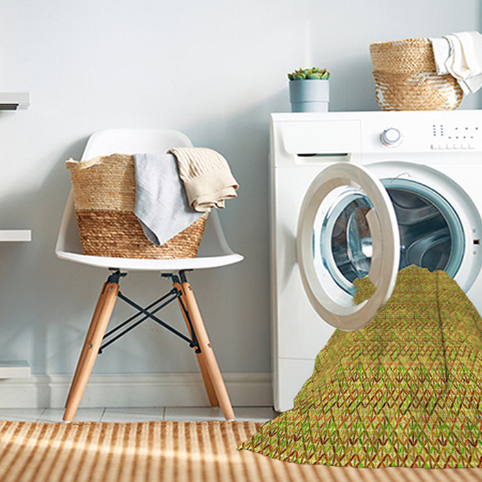 Machine Washable Transitional Sedona Brown Rug in a Washing Machine, wshpat3898yw